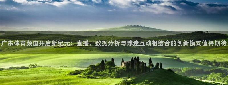 咪咕足球直播免费观看：广东体育频道开启新纪元：直播、数据分析与球迷互动相结合的创新模式值得期待