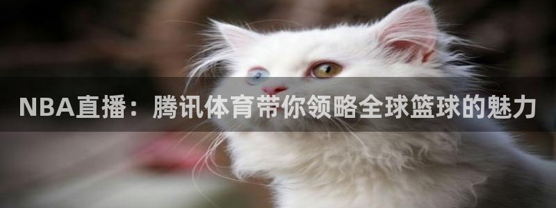 咪咕直播手机版：NBA直播：腾讯体育带你领略全球篮球的魅力