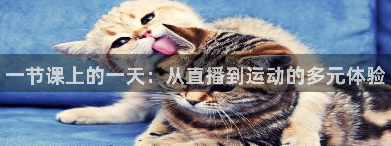 咪咕体育直播免费观看：一节课上的一天：从直播到运动的多元体验